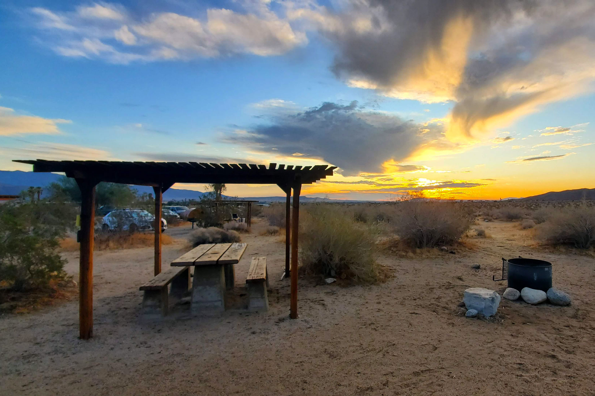 Borrego Palm Canyon Campground