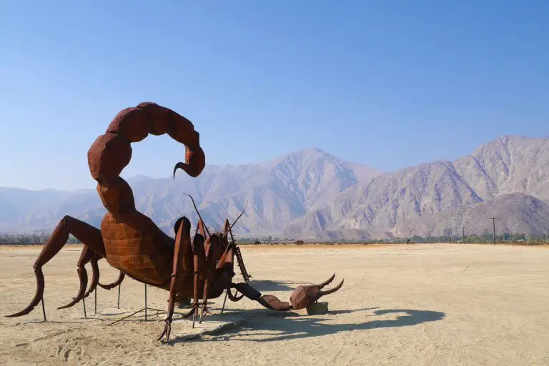 Video Guide to Anza Borrego Desert State Park