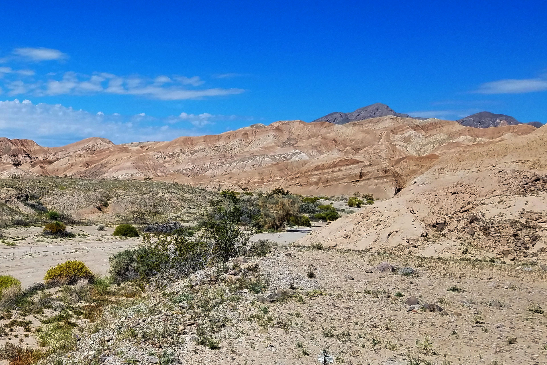 AnzaBorrego Desert State Park Adventure Guide Outdoor SoCal