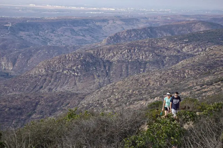 Cowles Mountain Trail Guide