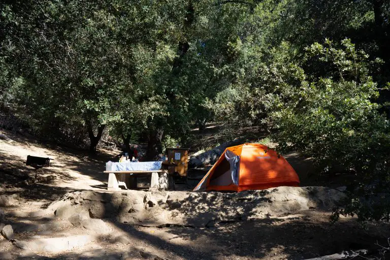 Palomar Mountain Camping Guide