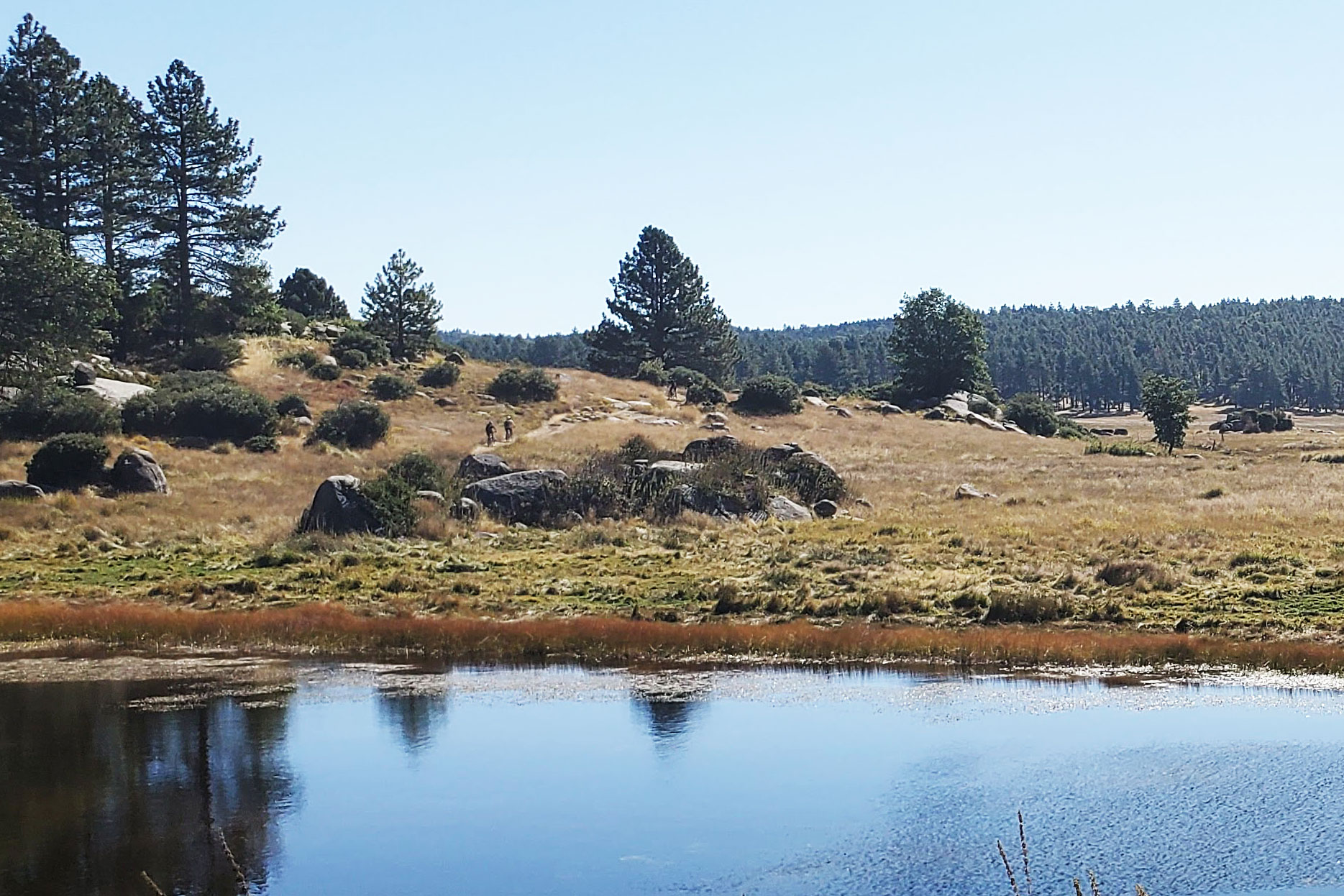 Mount Laguna Meadow