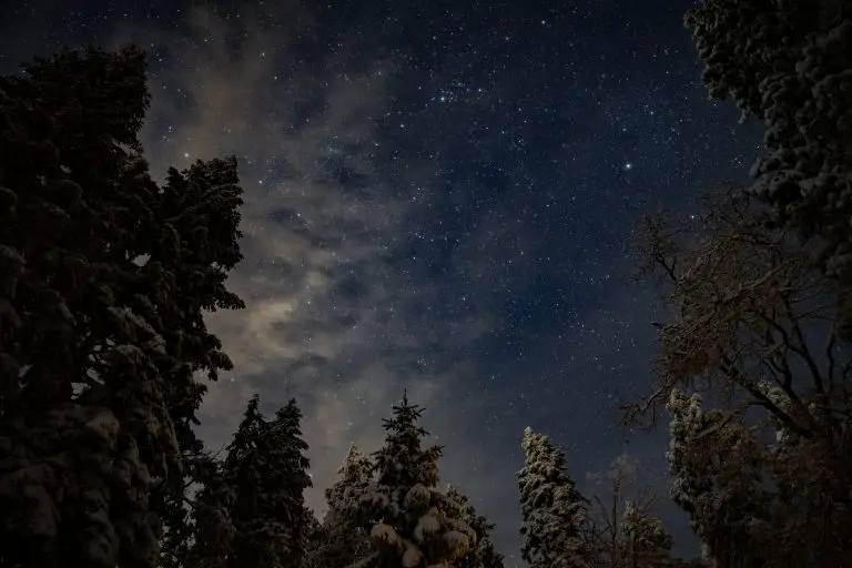 Arrest Made in Two Palomar Mountain Shootings, After Stargazer Targetted