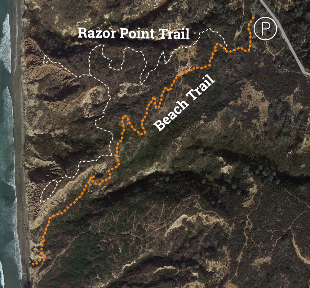 Torrey Pines Beach Trail Map