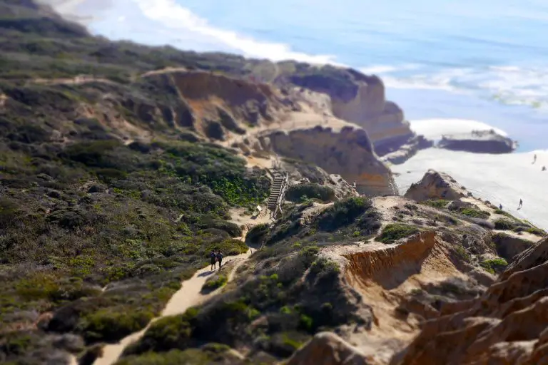 Torrey Pines Hiking Guide