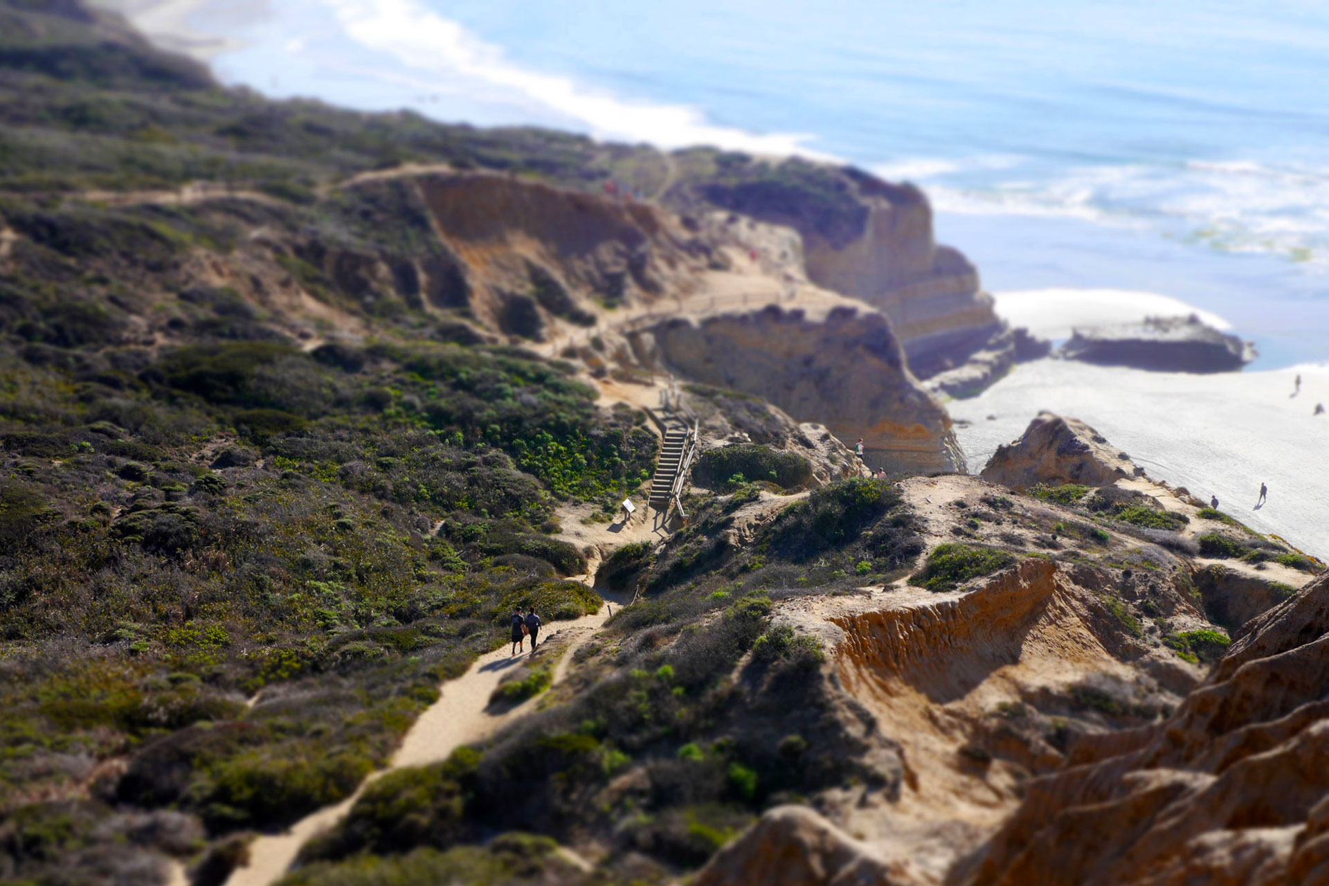 Torrey Pines Beach Trail