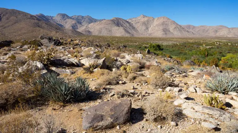 Coyote Canyon Camping, Hiking, and Off-Roading