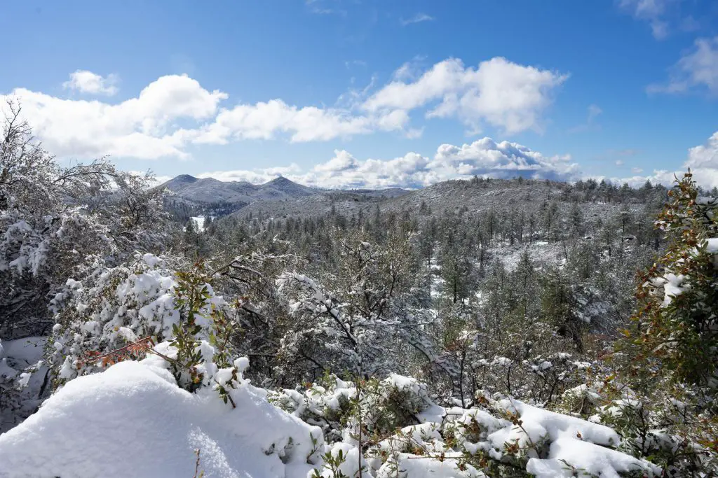 laguna mountains snow