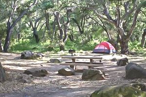Los Prietos Campground-2