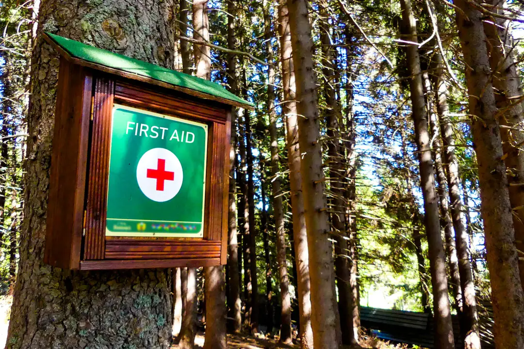 Wilderness First Aid