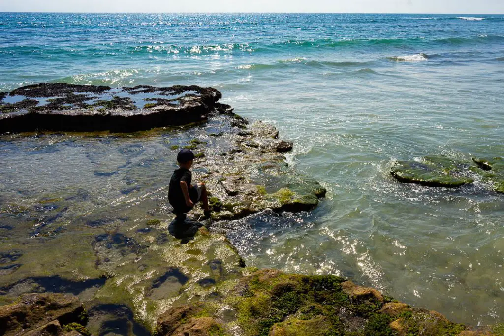 Swami's Tide Pool