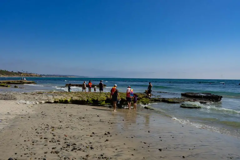 The Best Tidepooling Destinations in Southern California