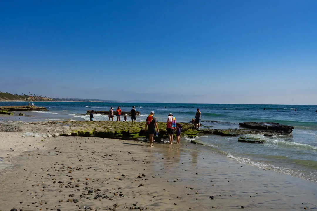Tidepooling at Swami's Beach