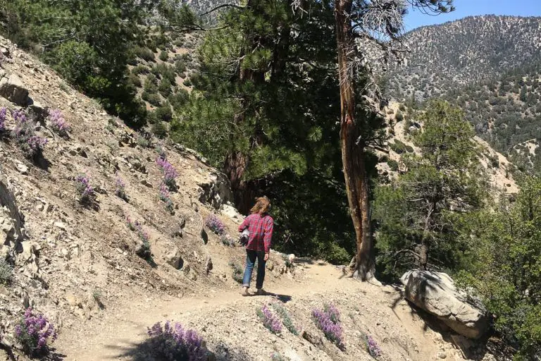 Burkhart Trail to Cooper Canyon Falls Guide