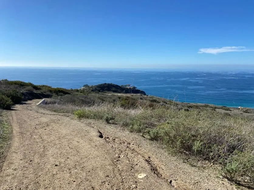 Laguna Beach view