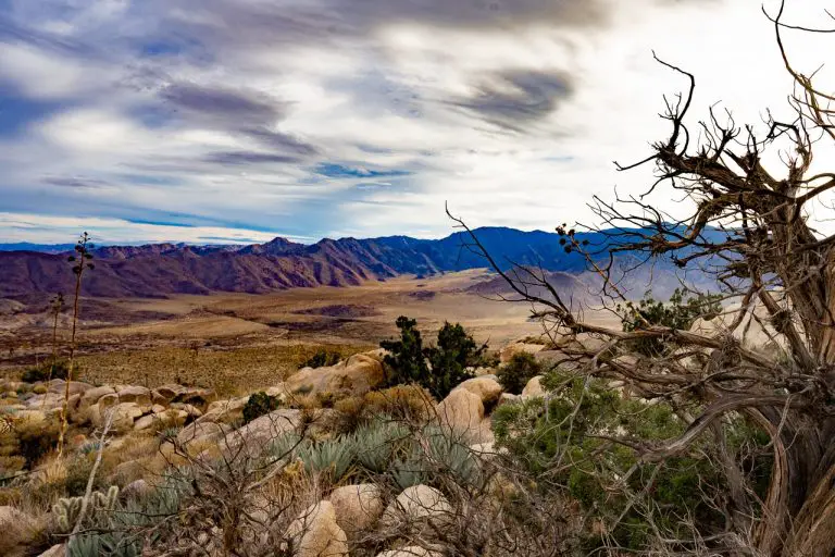 Marshall South Trail Guide – Anza-Borrego