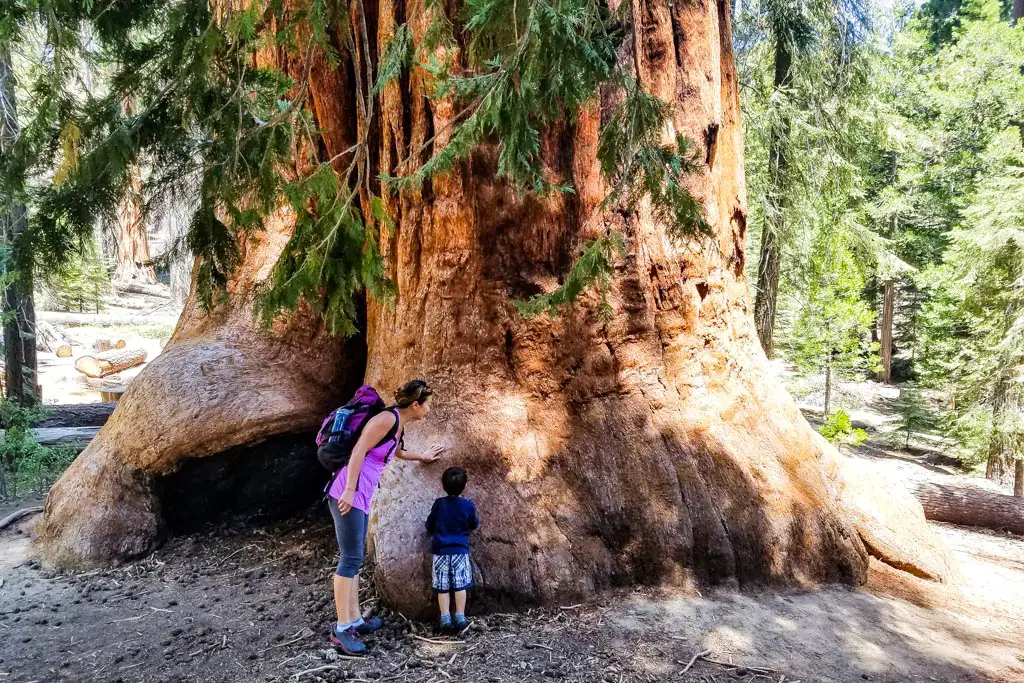 Trail of 100 Giants mother and child