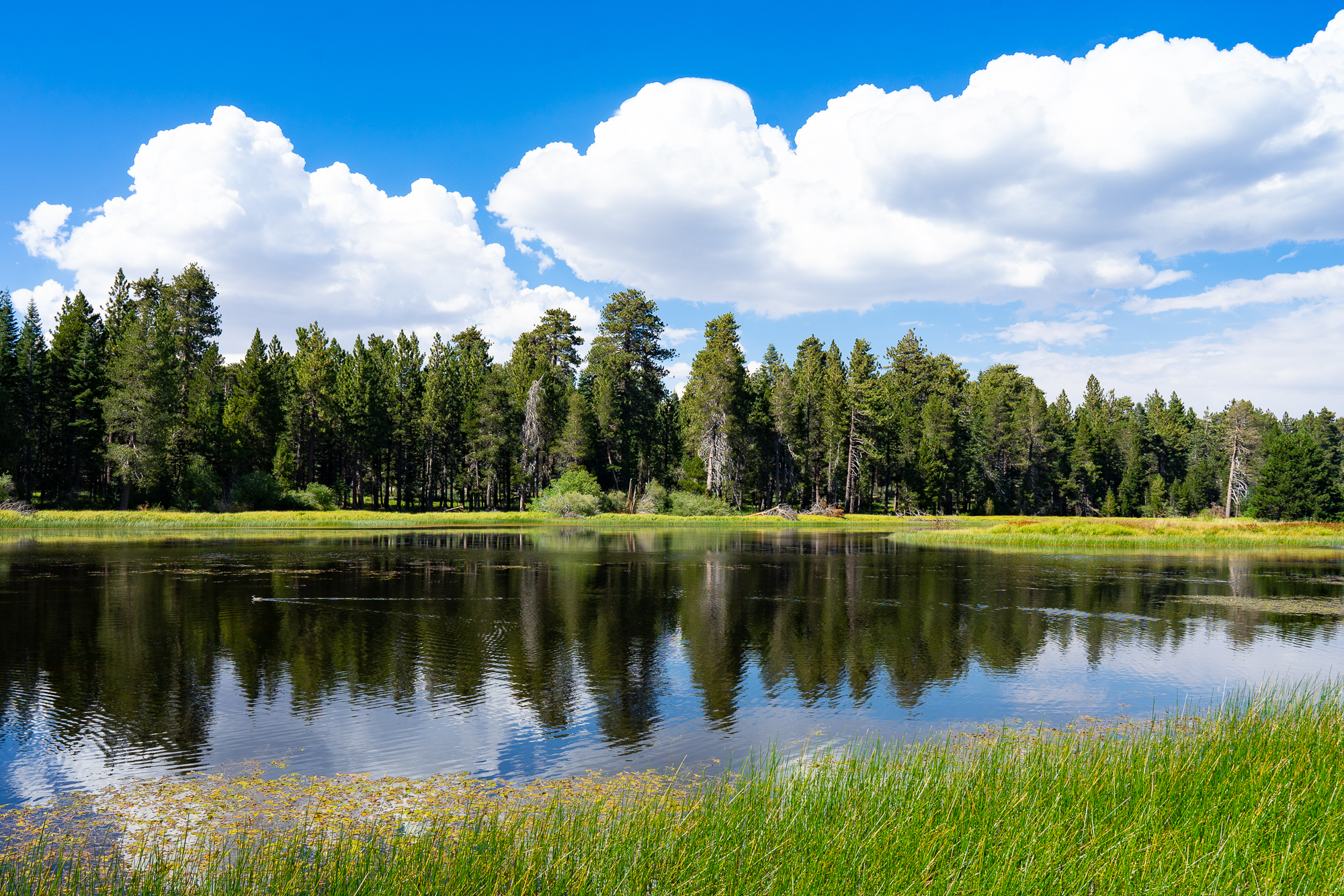 Bluff Lake Big Bear