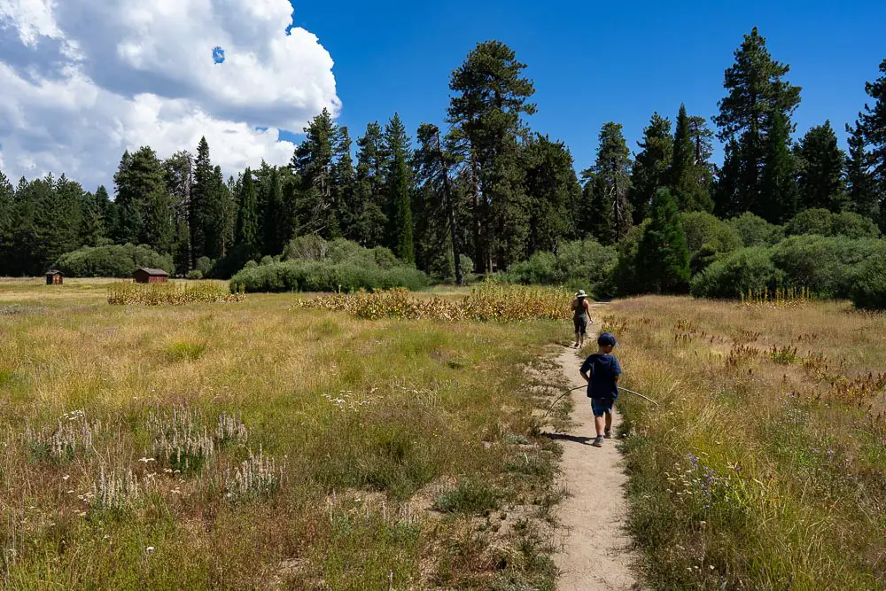 Bluff Lake meadow