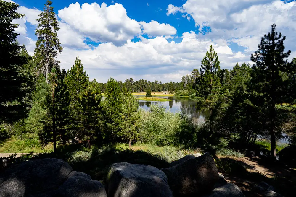 View of Bluff Lake