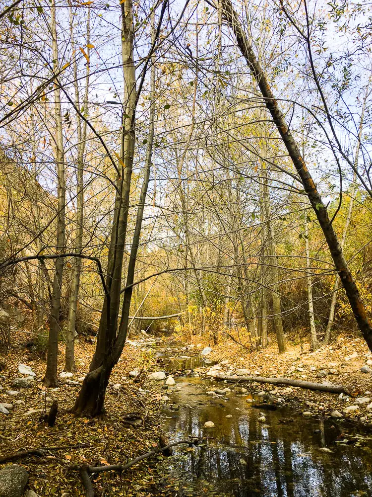 El Prieto Trail stream