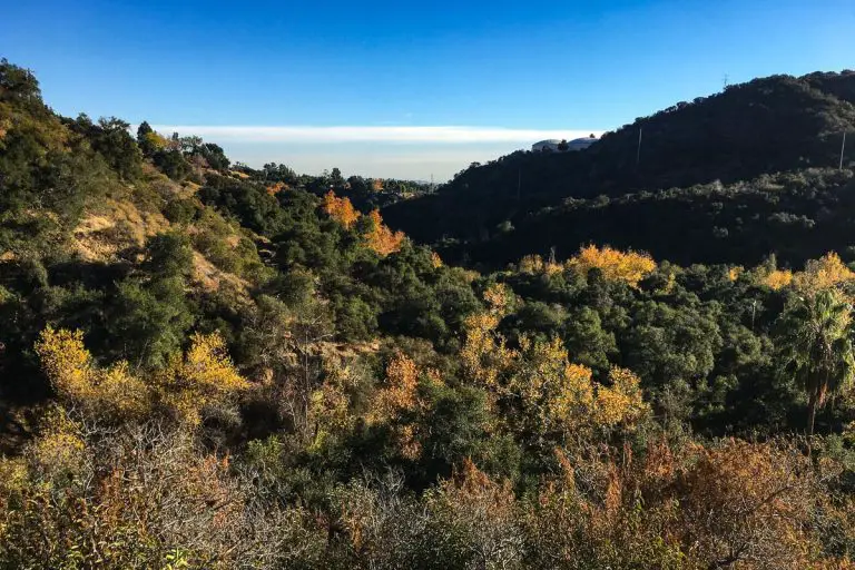 El Prieto Trail to Brown Mountain Loop Guide