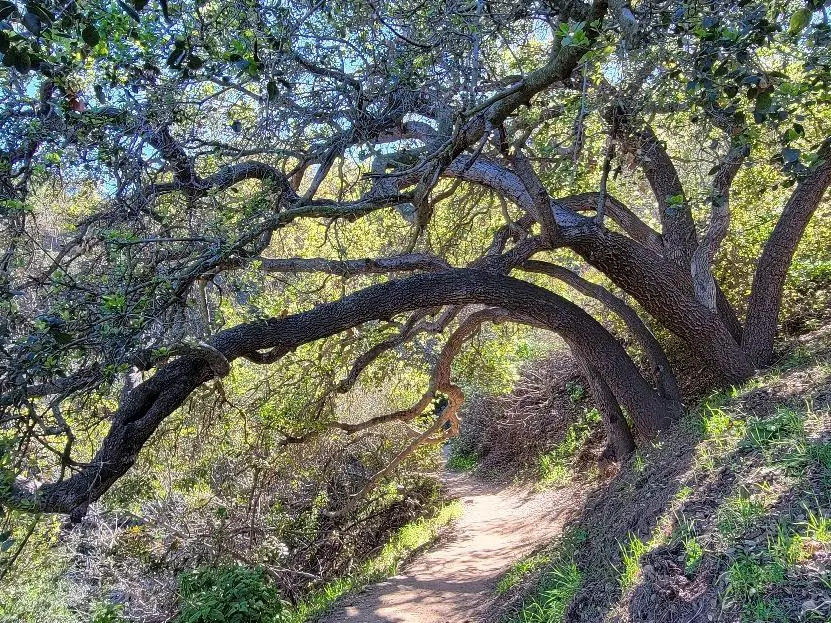 Fryman Canyon