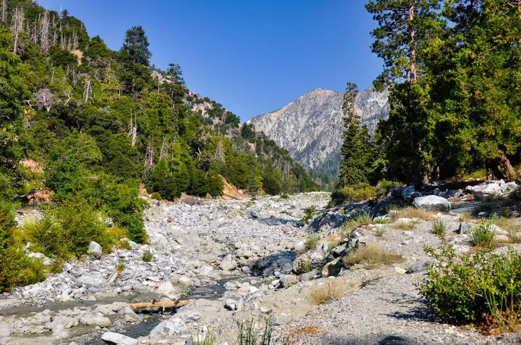 San Gorgonio Wilderness Trail