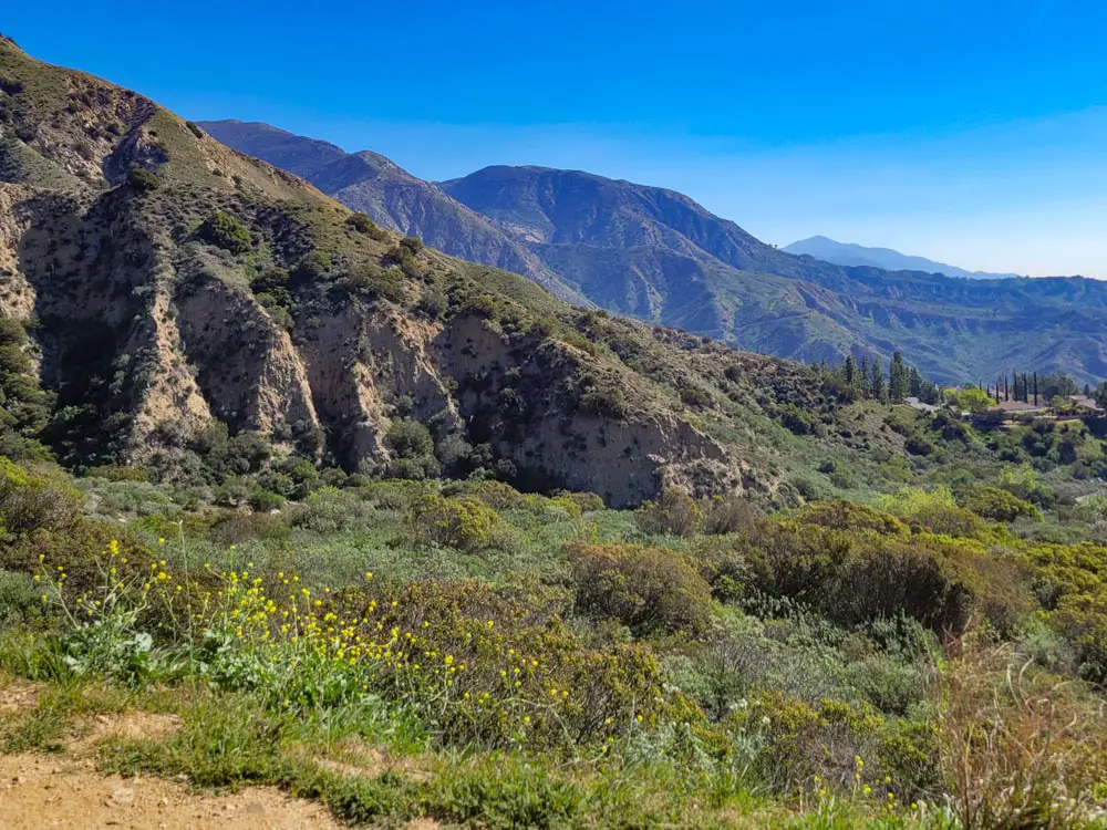 View from Veterans Park Trail