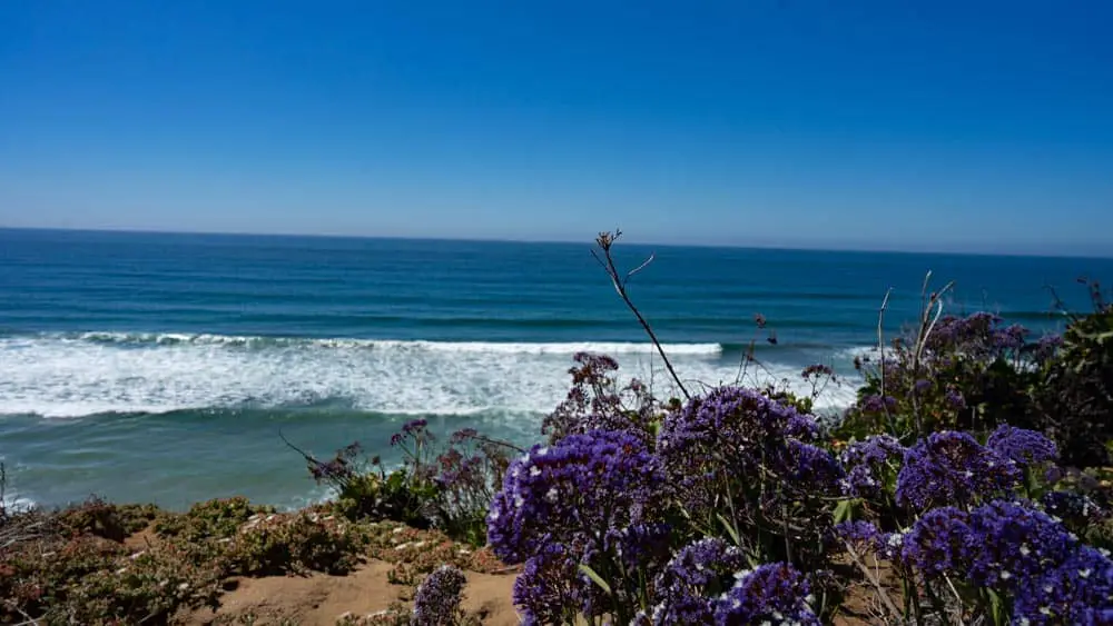 South Carlsbad State Beach Campground