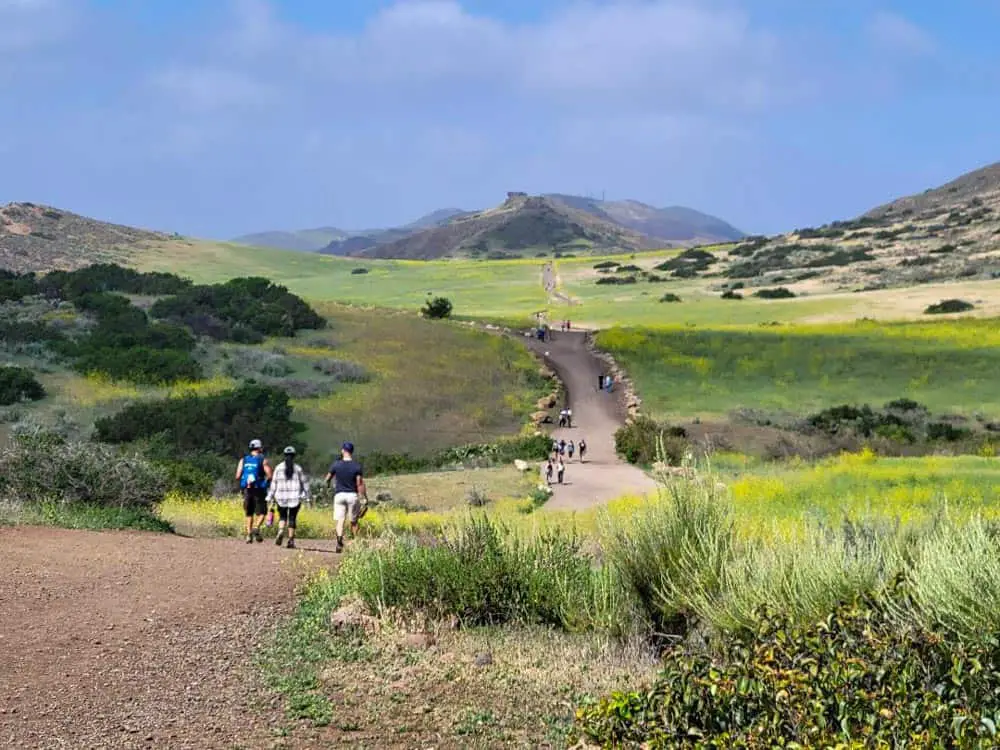 Wildwood Canyon Trail