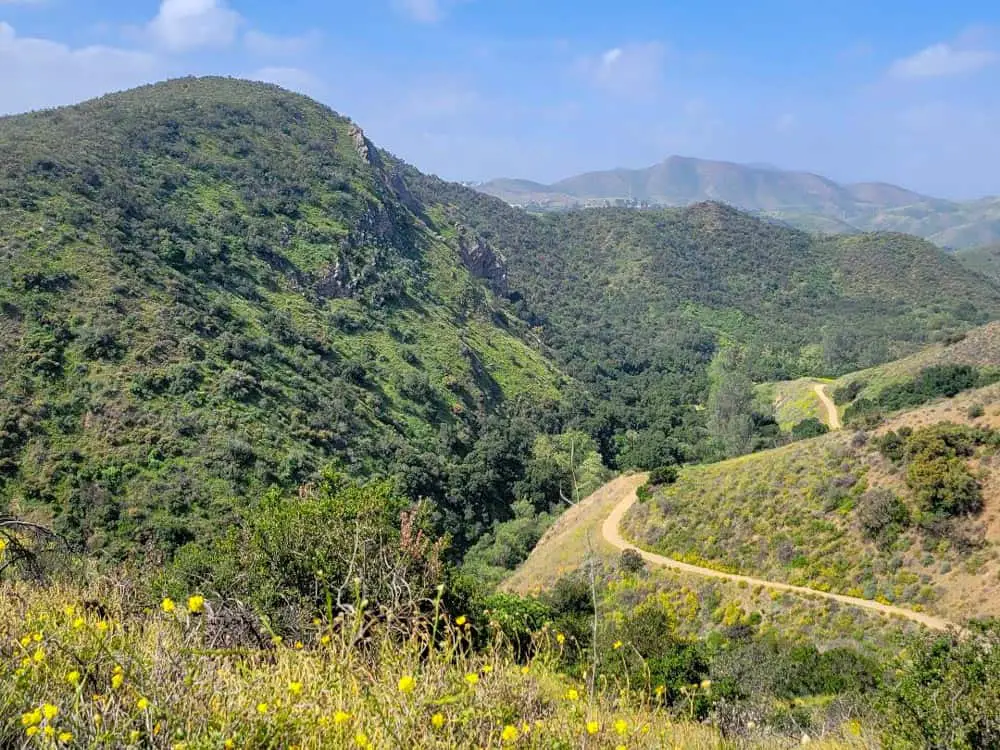 Wildwood Canyon Trail