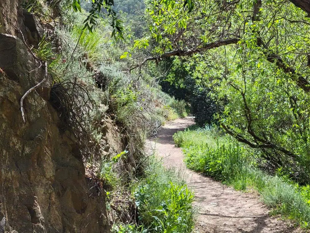 Wildwood Canyon Park