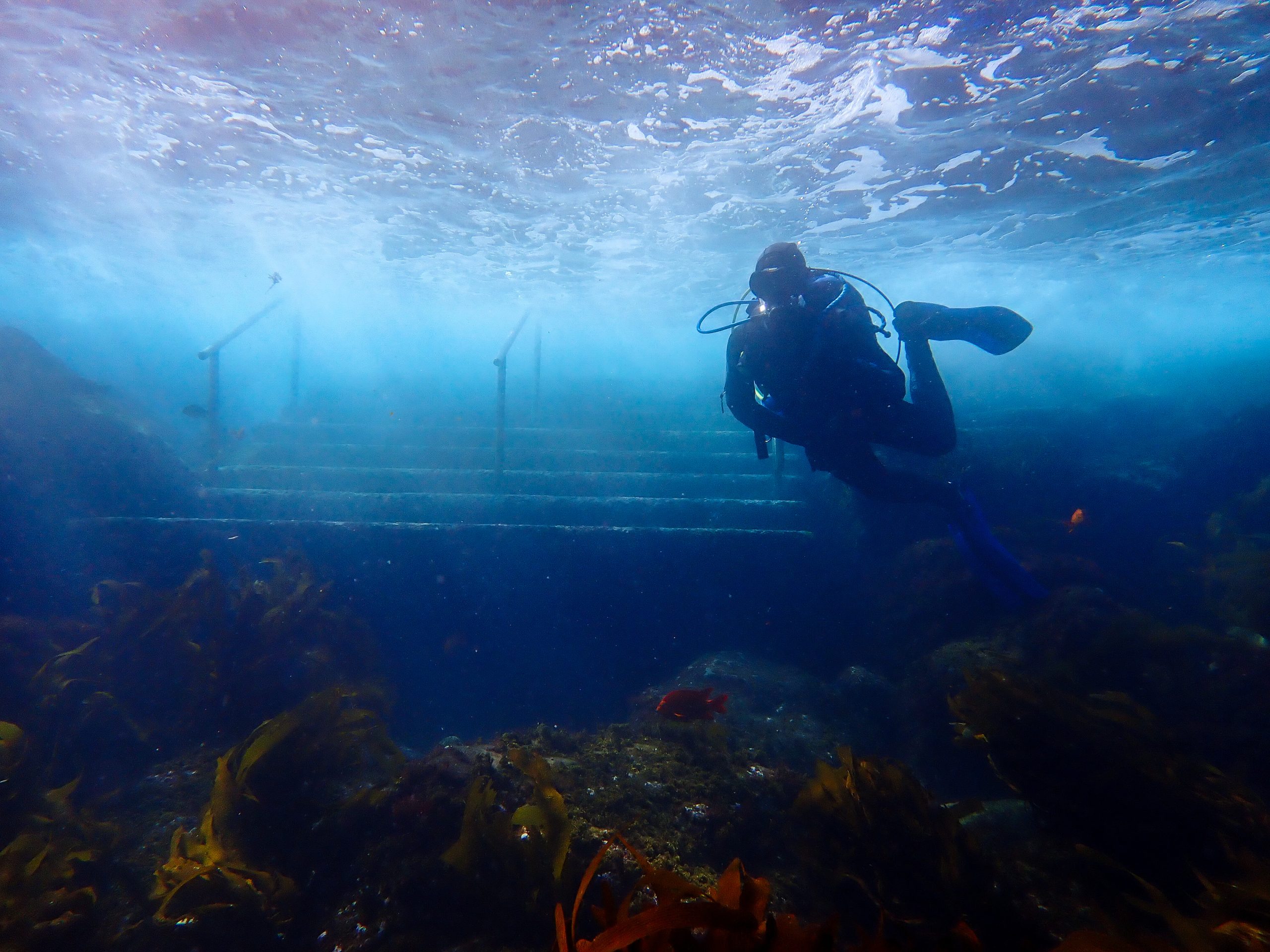 Casino Point Dive Spot