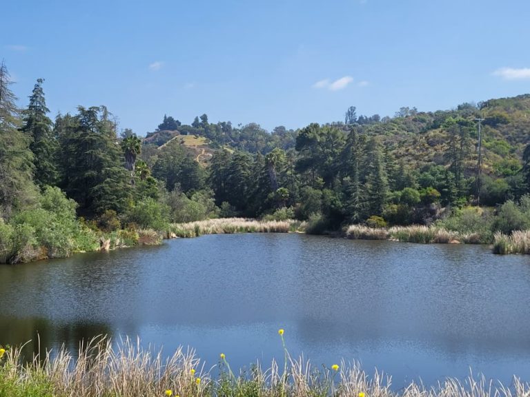 Franklin Canyon Park Trail Guide