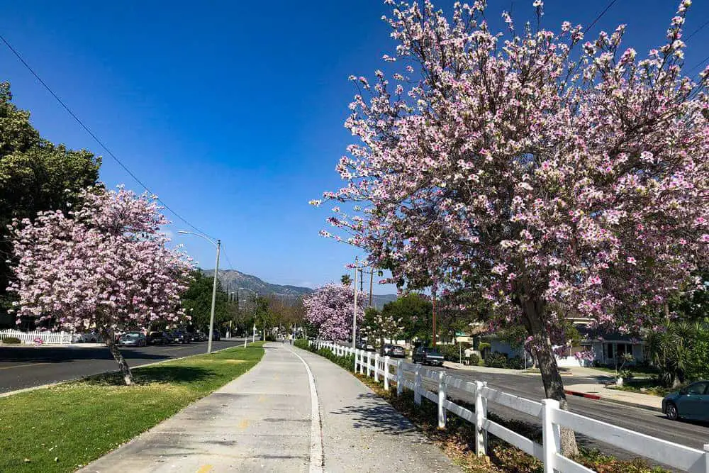 Chandler Bikeway