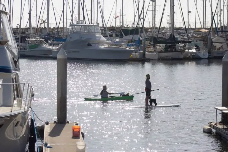 Oceanside Harbor Standup Paddle Guide