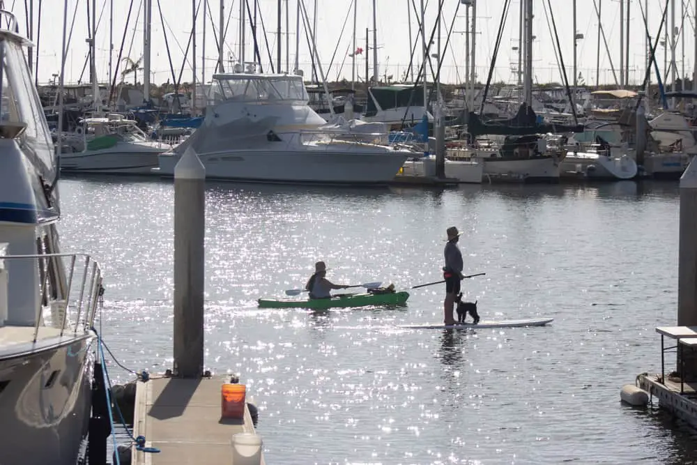 Oceanside Harbor SUP