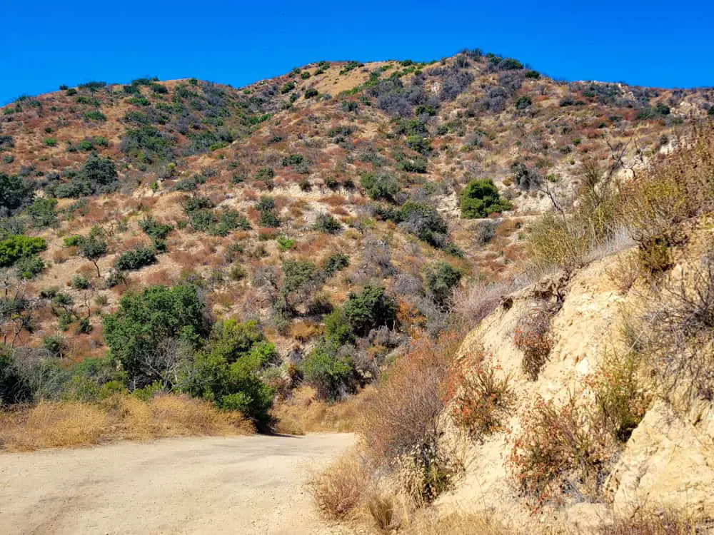 La Tuna Canyon Trail