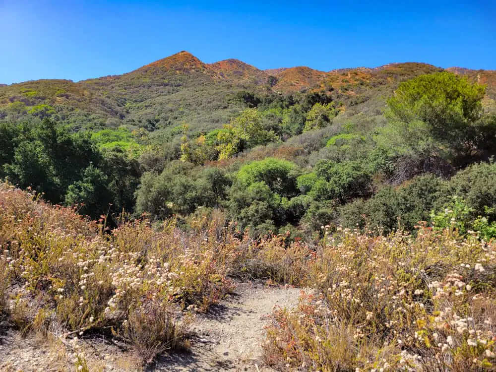 La Tuna Canyon Trail