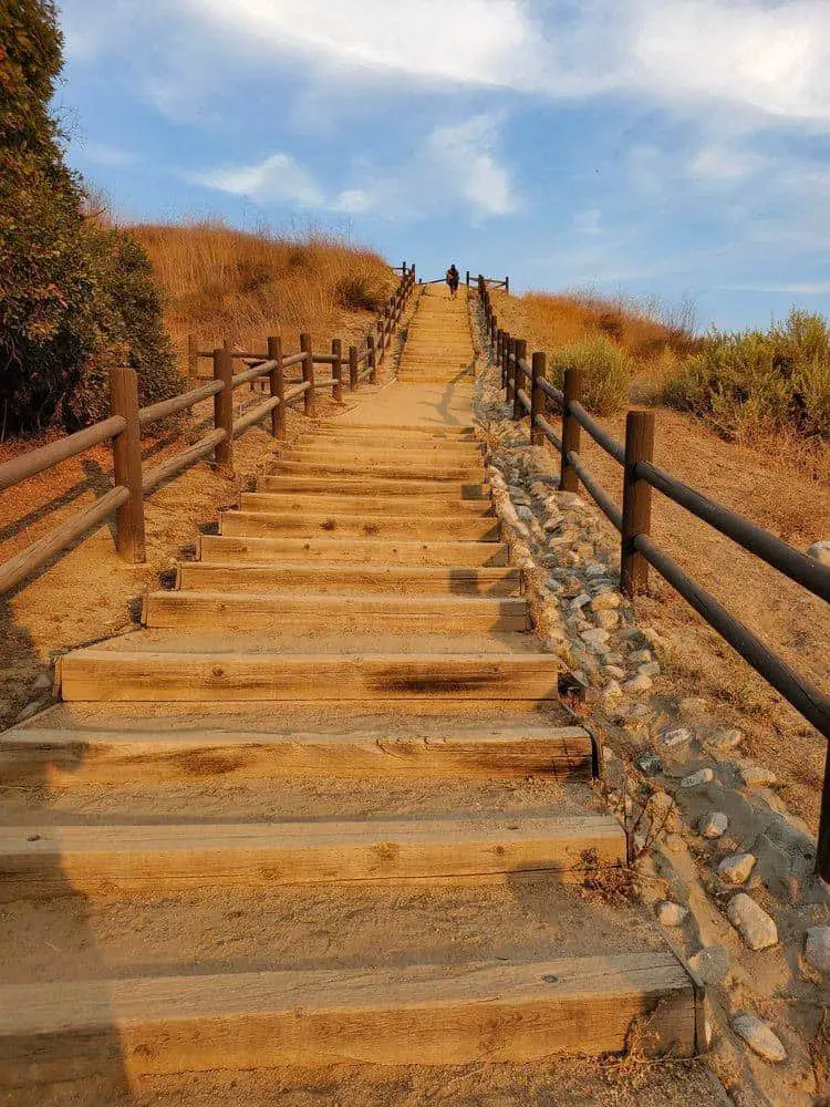 Steep Canyon Trail