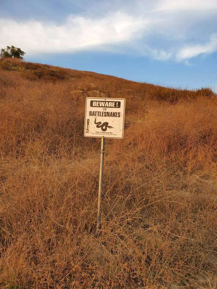 Steep Canyon Trail