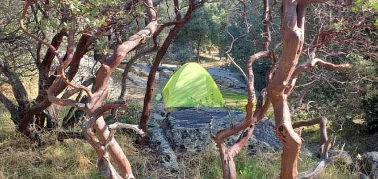 Cuyamaca Rancho Camping Guide