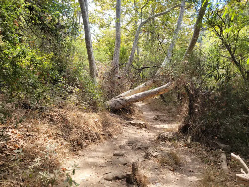 Temescal Canyon Trail