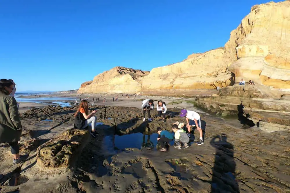 Torrey Pines Beach Trail