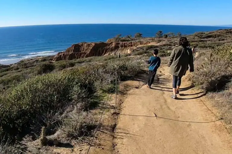 Beach Trail Guide – Torrey Pines State Reserve