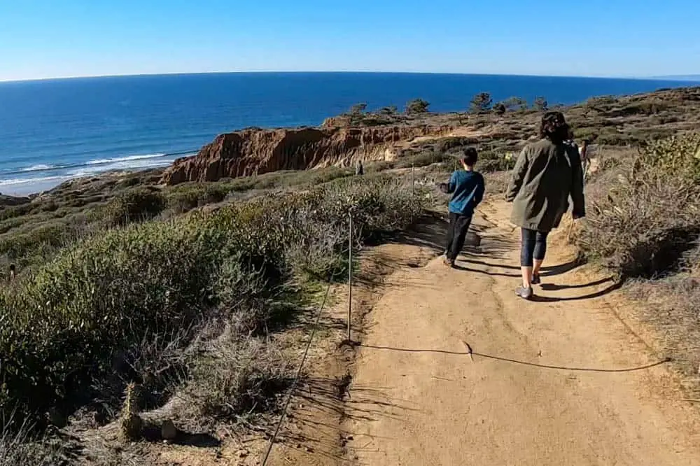 Are Dogs Allowed At Torrey Pines Hike