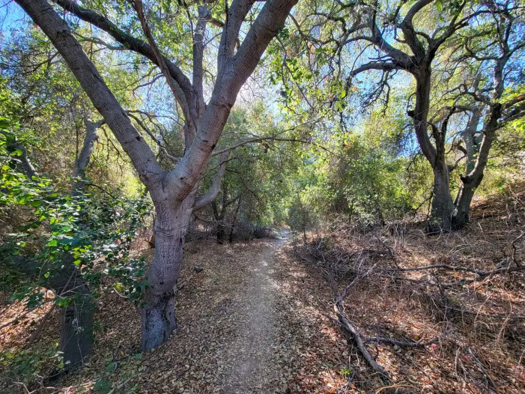 Corbin Canyon Trails