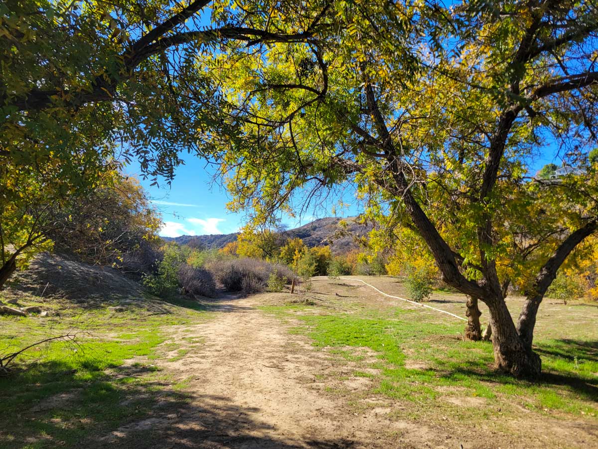 Corbin Canyon Trail