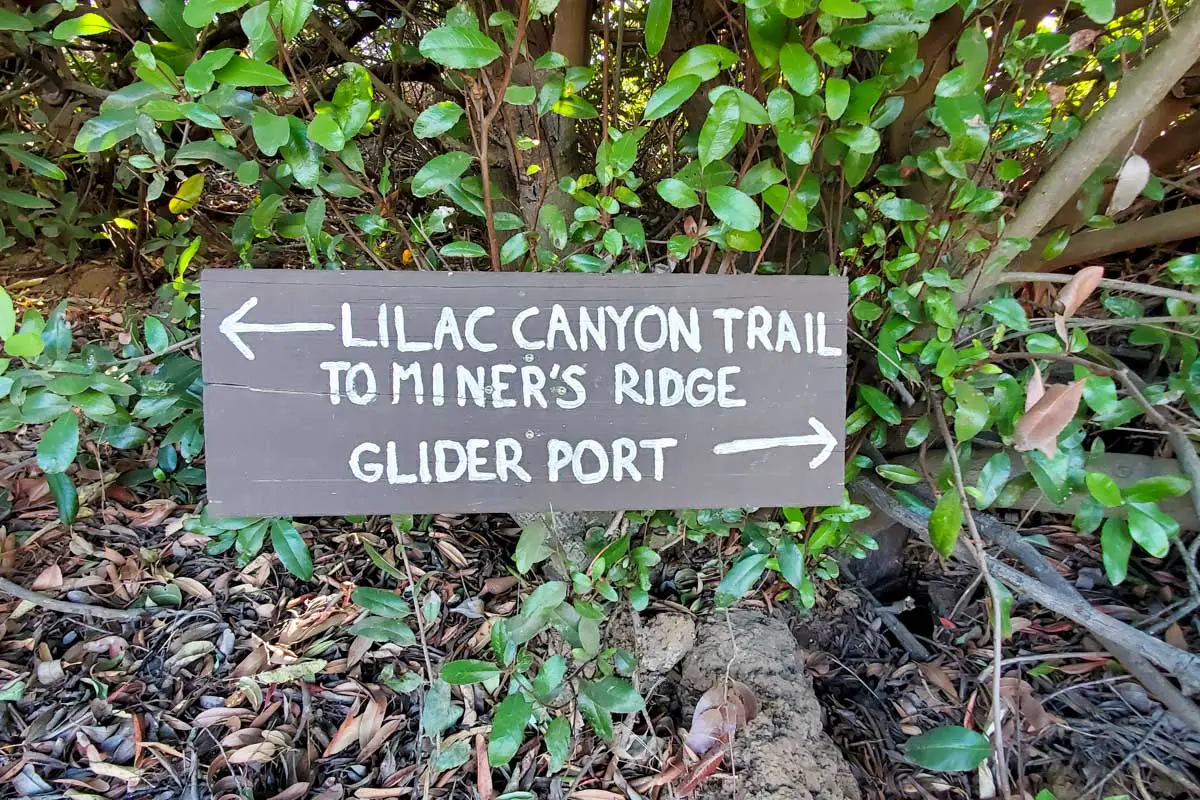 Black Mountain Trail sign